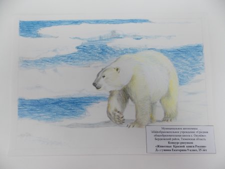 Рисунок животного занесён ОГО В красную книгу