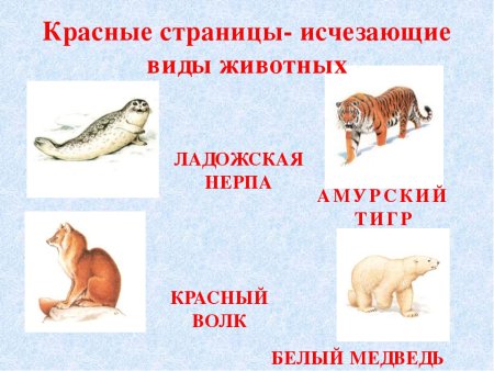 Вымершие животные из красной книги
