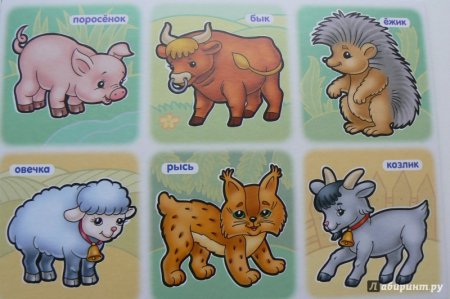 Изучаем животных для детей