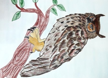 Рисунок на тему красная книга