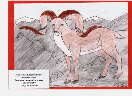 Красная книга раскраска