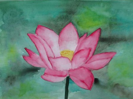 Венерин башмачок