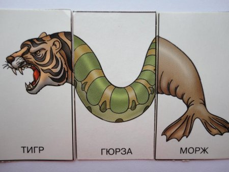 Животные из разных частей