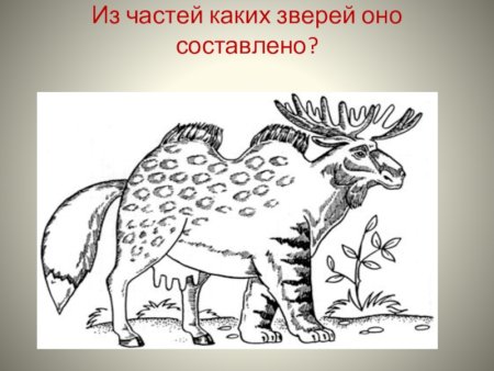 Придумай фантастическое животное