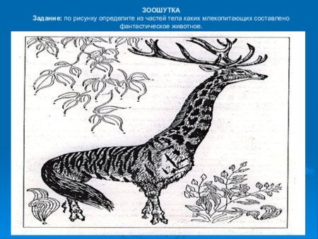 Необычное животное рисунок