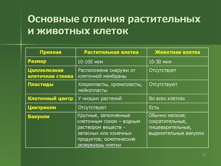 Различия строения клетки животных и клетки растений