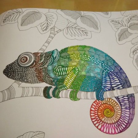 Милли Маротта хамелеон