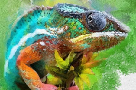 Ящерица пастелью