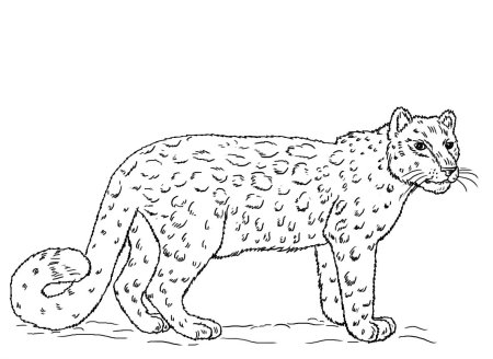 Красная книга раскраска