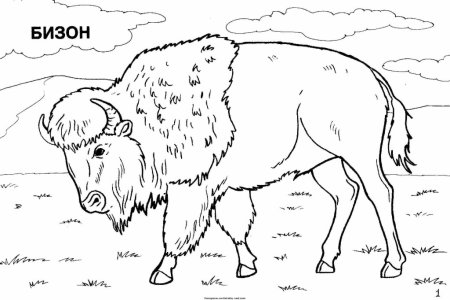 Животные красснойкниги