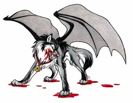 Волк с крыльями злой