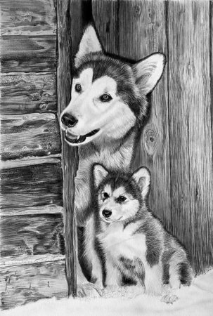 Фурри волк для срисовки