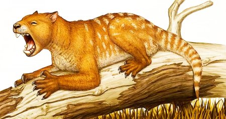 Игуанодон и Мегалозавр