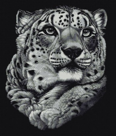 Монохромные рисунки животных