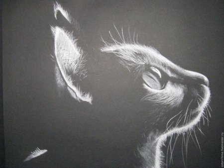 Рисование пастелью на черном фоне