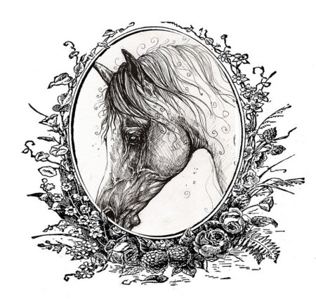 Монохромные рисунки