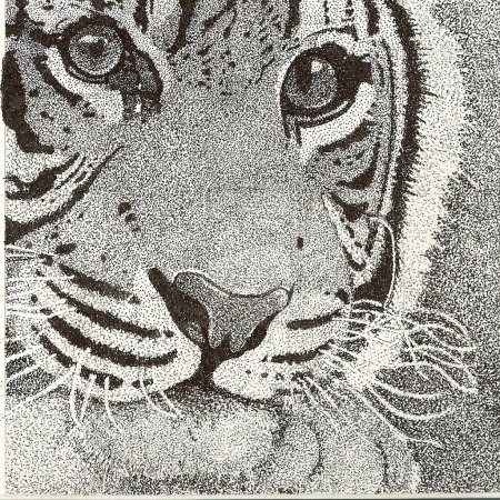 Точечная Графика