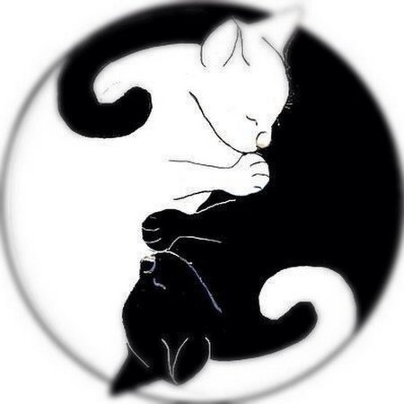 Монохромное изображение