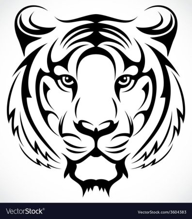 Тигр трайбл эскиз