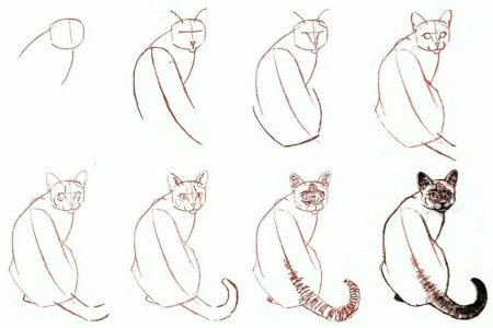 Поэтапный рисунок кошки