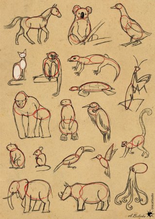 Поэтапный рисунок кошки