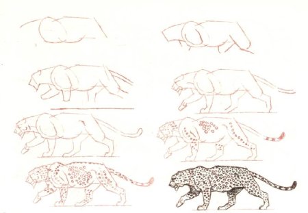 Рисунки диких кошек для срисовки