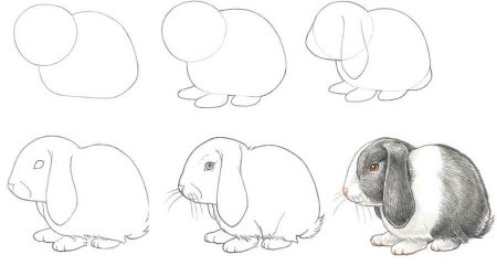 Нарисовать кролика поэтапно