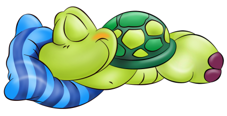 Черепашка спит