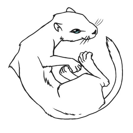 Хорь перевязка раскраска