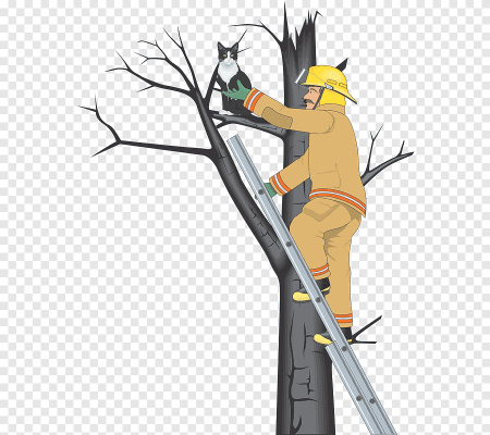 Спасатель спасает кошку с дерева