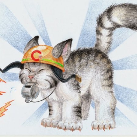 Кот в пожарной каске