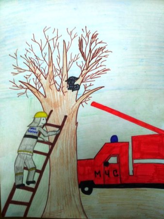 Спасение животных рисунок