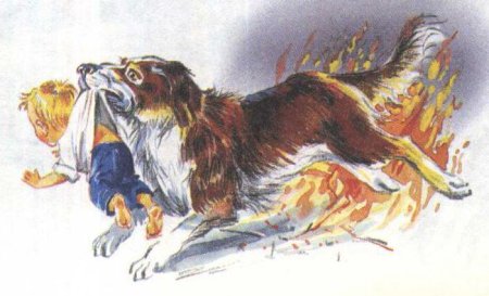 Л Н толстой пожарные собаки