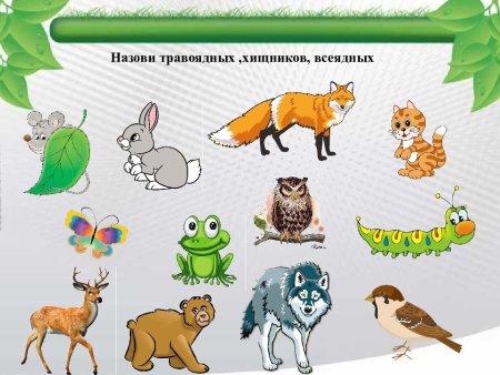 Травоядные животные леса