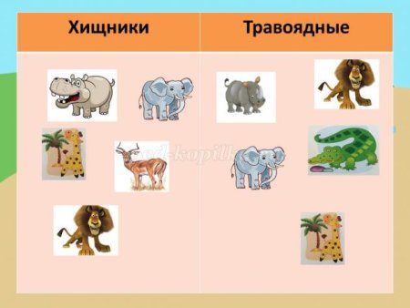 Хищники и травоядные животные