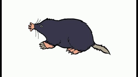 Карикатура на кротов