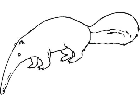 Муравьед рисунок