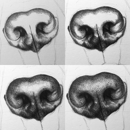 Волчий нос туториал