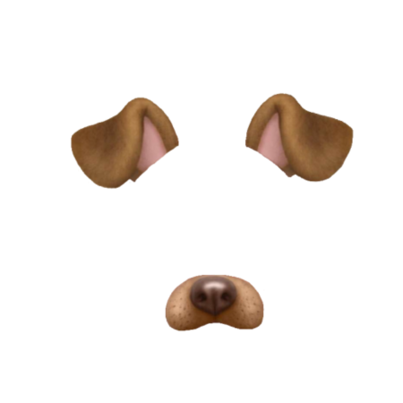 Носы животных нарисованные