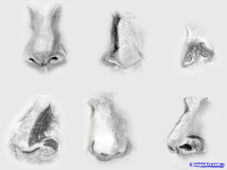 Вид носа с разных ракурсов