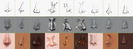 Нос и усы кота