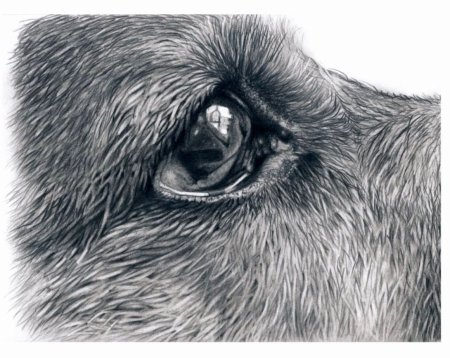 Красивые мордочки