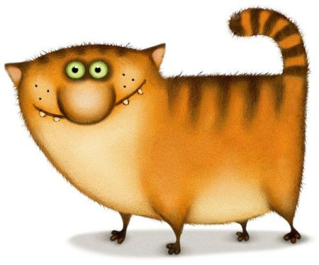 Смешной кот рисунок