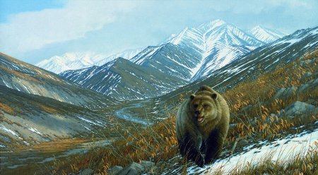 Кордильеры животный мир