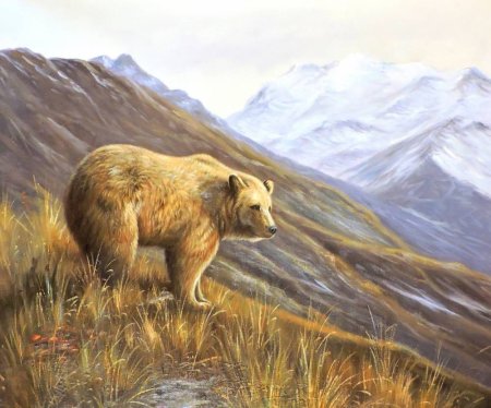 Природа Камчатки рисование для детей