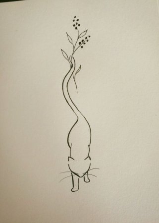 Котик одной линией