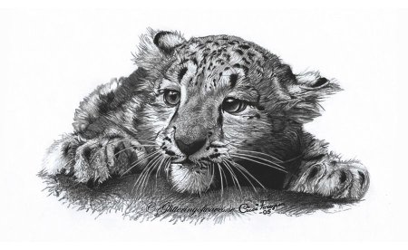 Ирбис карандашом