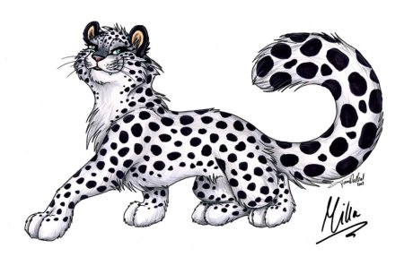 Снежный Барс рисунок