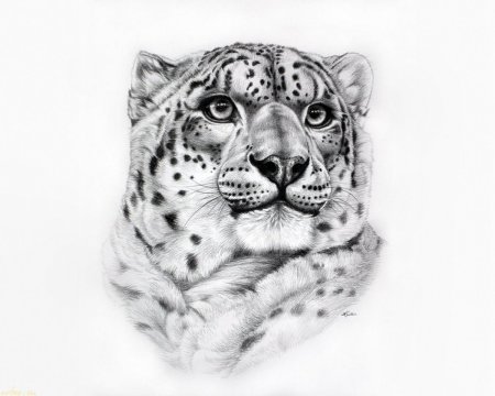 Снежный Барс тату