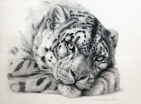 Ирбис снежный Барс тату